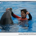 Marineland - Dauphins - Spectacle 14h30 - 0109