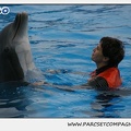 Marineland - Dauphins - Spectacle 14h30 - 0110