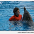 Marineland - Dauphins - Spectacle 14h30 - 0111