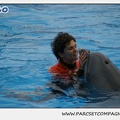 Marineland - Dauphins - Spectacle 14h30 - 0113