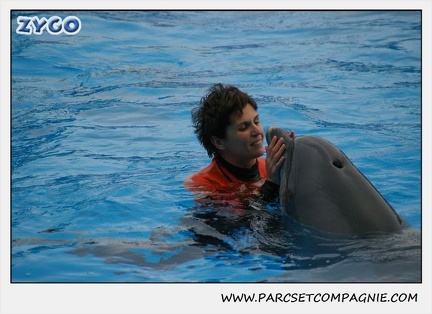 Marineland - Dauphins - Spectacle 14h30 - 0113