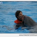 Marineland - Dauphins - Spectacle 14h30 - 0115