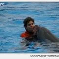 Marineland - Dauphins - Spectacle 14h30 - 0116