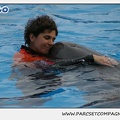 Marineland - Dauphins - Spectacle 14h30 - 0118