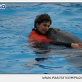 Marineland - Dauphins - Spectacle 14h30 - 0119