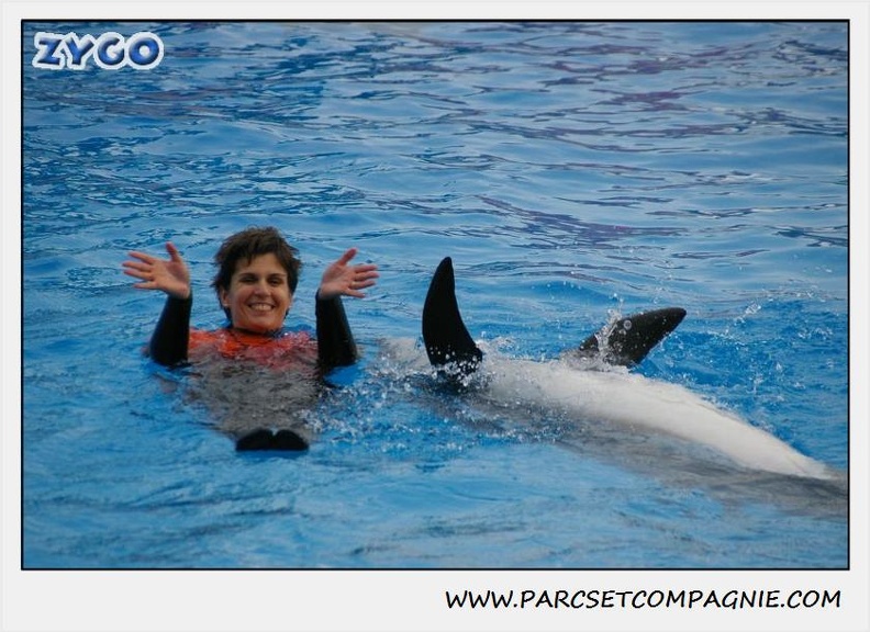 Marineland - Dauphins - Spectacle 14h30 - 0121