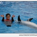 Marineland - Dauphins - Spectacle 14h30 - 0121