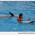Marineland - Dauphins - Spectacle 14h30 - 0122