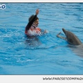 Marineland - Dauphins - Spectacle 14h30 - 0123