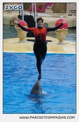 Marineland - Dauphins - Spectacle 14h30 - 0124