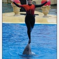 Marineland - Dauphins - Spectacle 14h30 - 0124