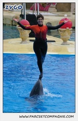Marineland - Dauphins - Spectacle 14h30 - 0125