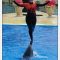 Marineland - Dauphins - Spectacle 14h30 - 0125