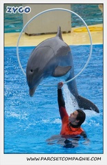 Marineland - Dauphins - Spectacle 14h30 - 0126