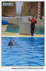 Marineland - Dauphins - Spectacle 14h30 - 0127