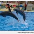 Marineland - Dauphins - Spectacle 14h30 - 0130