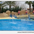Marineland - Dauphins - Spectacle 14h30 - 0131