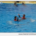 Marineland - Dauphins - Spectacle 14h30 - 0132