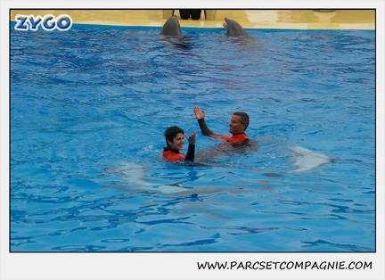 Marineland - Dauphins - Spectacle 14h30 - 0132