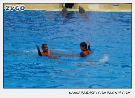 Marineland - Dauphins - Spectacle 14h30 - 0133