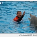 Marineland - Dauphins - Spectacle 14h30 - 0134