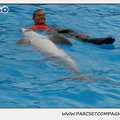 Marineland - Dauphins - Spectacle 14h30 - 0135