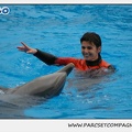 Marineland - Dauphins - Spectacle 14h30 - 0137