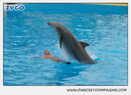 Marineland - Dauphins - Spectacle 14h30 - 0138