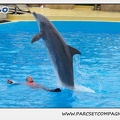 Marineland - Dauphins - Spectacle 14h30 - 0139