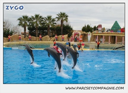 Marineland - Dauphins - Spectacle 14h30 - 0142
