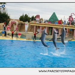 Marineland - Dauphins - Spectacle 14h30