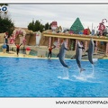 Marineland - Dauphins - Spectacle 14h30 - 0143