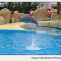 Marineland - Dauphins - Spectacle 14h30 - 0144