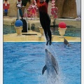 Marineland - Dauphins - Spectacle 14h30 - 0145