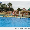 Marineland - Dauphins - Spectacle 14h30 - 0147