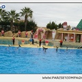 Marineland - Dauphins - Spectacle 14h30 - 0148