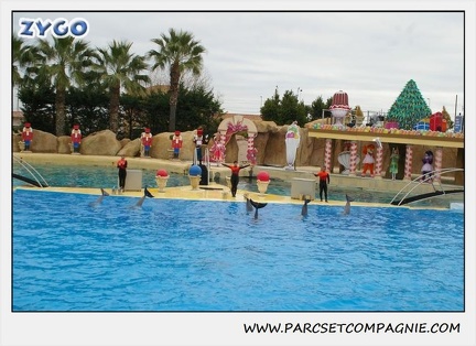 Marineland - Dauphins - Spectacle 14h30 - 0148