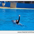 Marineland - Dauphins - Spectacle 14h30 - 0181