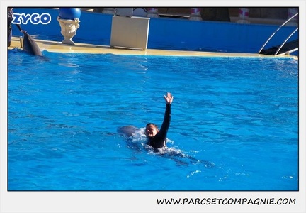 Marineland - Dauphins - Spectacle 14h30 - 0181