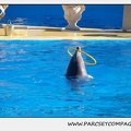 Marineland - Dauphins - Spectacle 14h30 - 0183