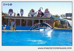 Marineland - Dauphins - Spectacle 14h30 - 0184