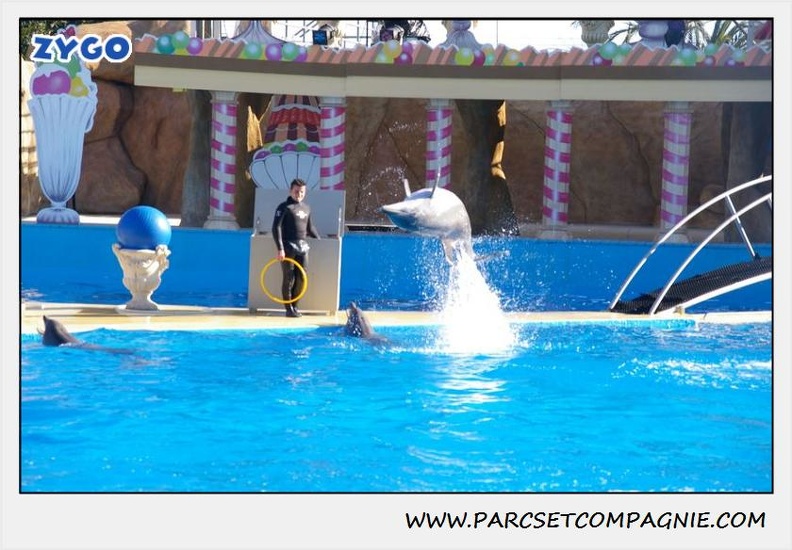Marineland - Dauphins - Spectacle 14h30 - 0185