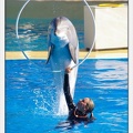 Marineland - Dauphins - Spectacle 14h30 - 0186