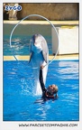 Marineland - Dauphins - Spectacle 14h30 - 0186