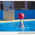 Marineland - Dauphins - Spectacle 14h30 - 0187