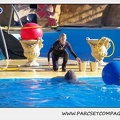 Marineland - Dauphins - Spectacle 14h30 - 0190