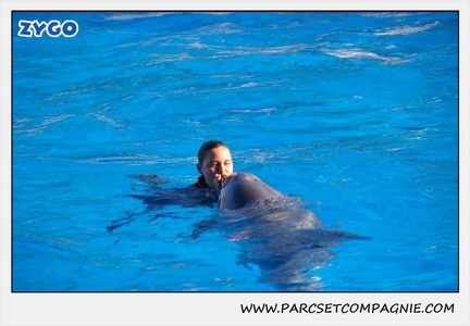 Marineland - Dauphins - Spectacle 14h30 - 0194