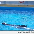 Marineland - Dauphins - Spectacle 14h30 - 0195