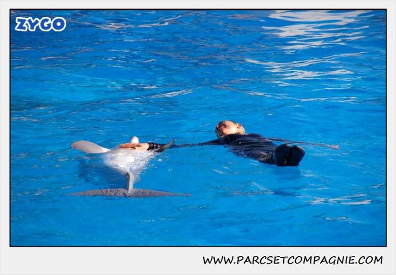 Marineland - Dauphins - Spectacle 14h30 - 0196