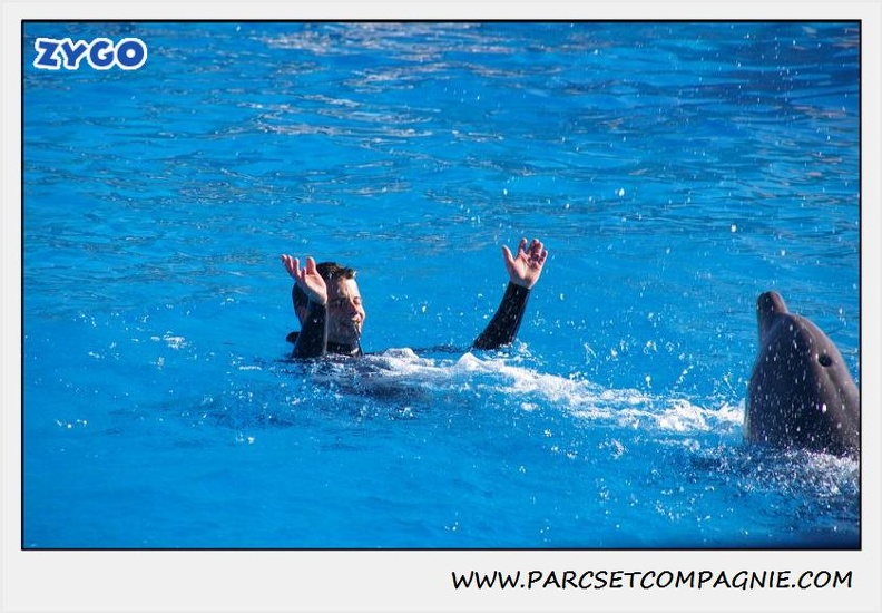 Marineland - Dauphins - Spectacle 14h30 - 0197